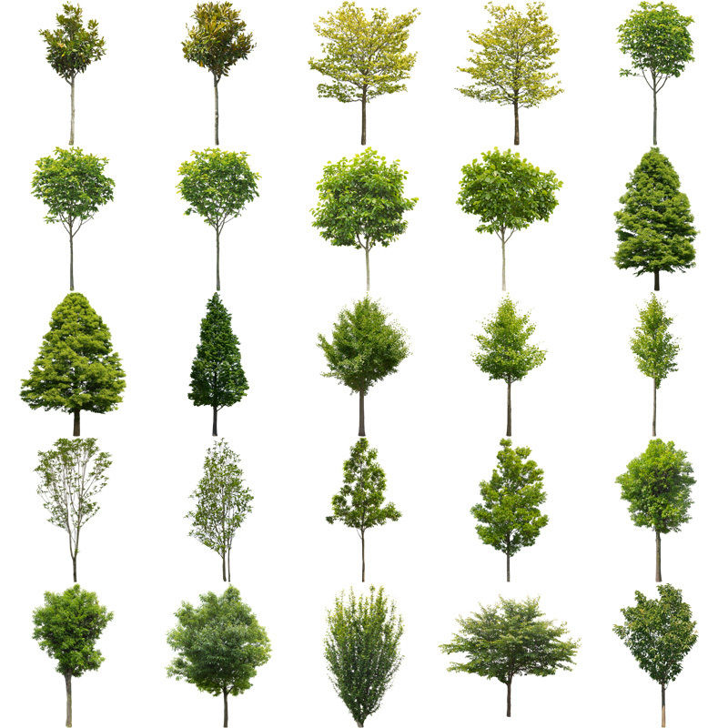 樹木切り抜き素材をアトリエブラウンが無料で大量に配っているのはなぜなのか アトリエブラウンblog