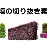 生垣の切り抜き素材13点を追加｜高解像度透過PNGで建築パース・デザインに最適｜sozaiya.com